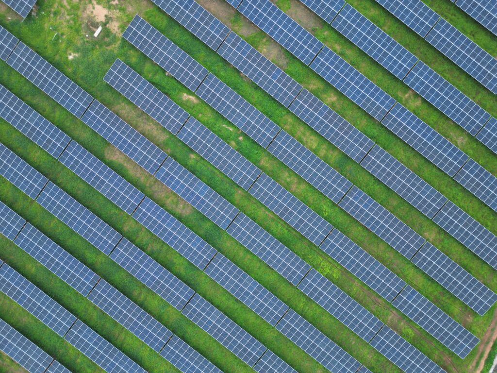 drone photo — ground-mount rows